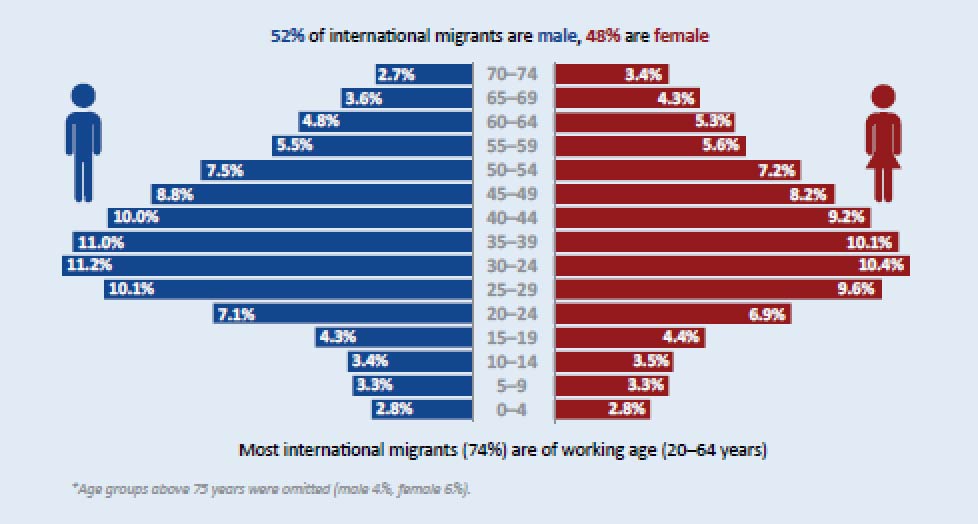 Snapshot of international migrants